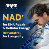 Absorption liposomale MOM NUTRIX NAD – meilleure biodisponibilité supposée