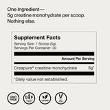 Momentous Ambiance salle de sport: préparation et récupération optimisées.