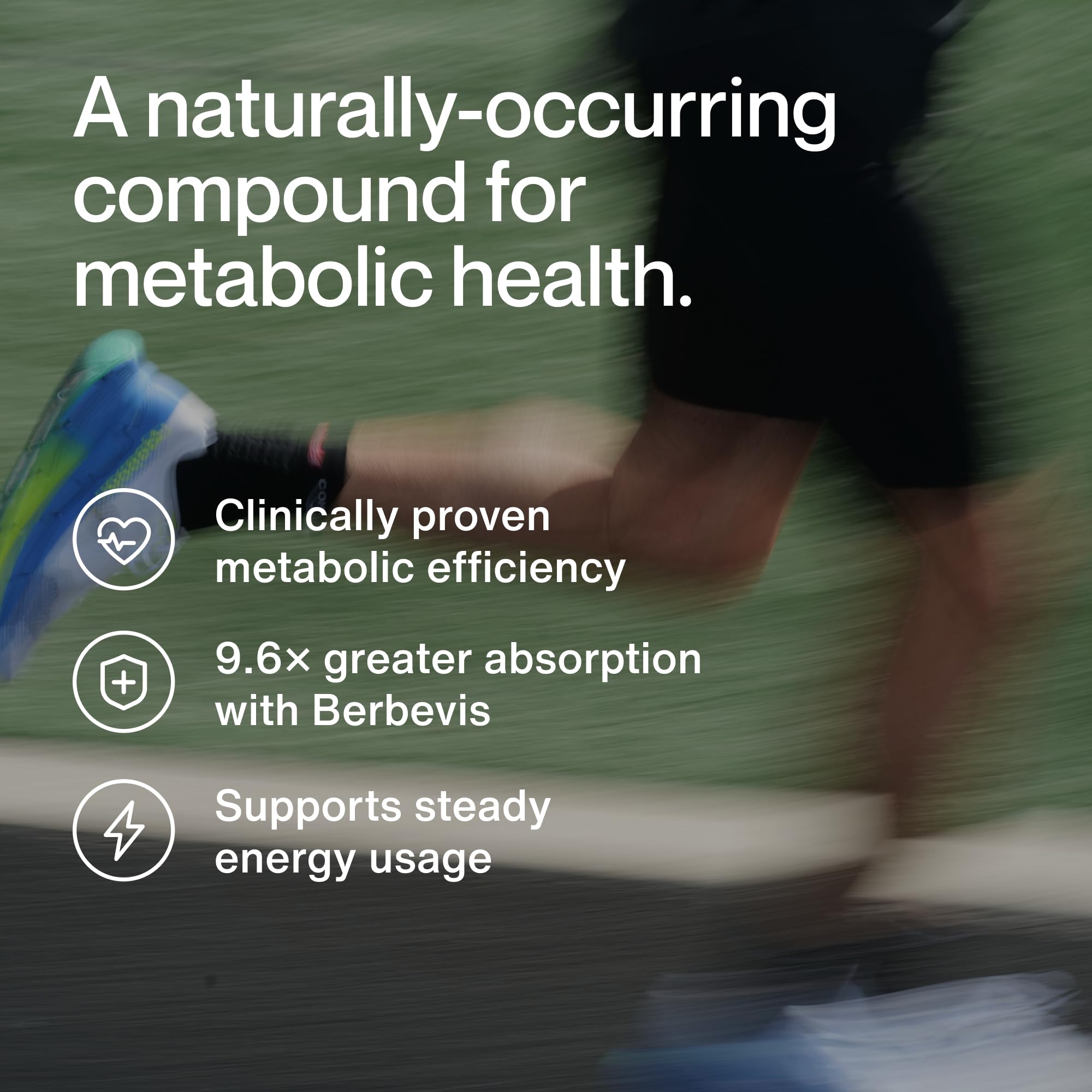 Étiquette Momentous Berberine affichant végan et sans gluten.