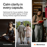 Momentous Magtein – emballage et guide d’utilisation pour une expérience fluide.