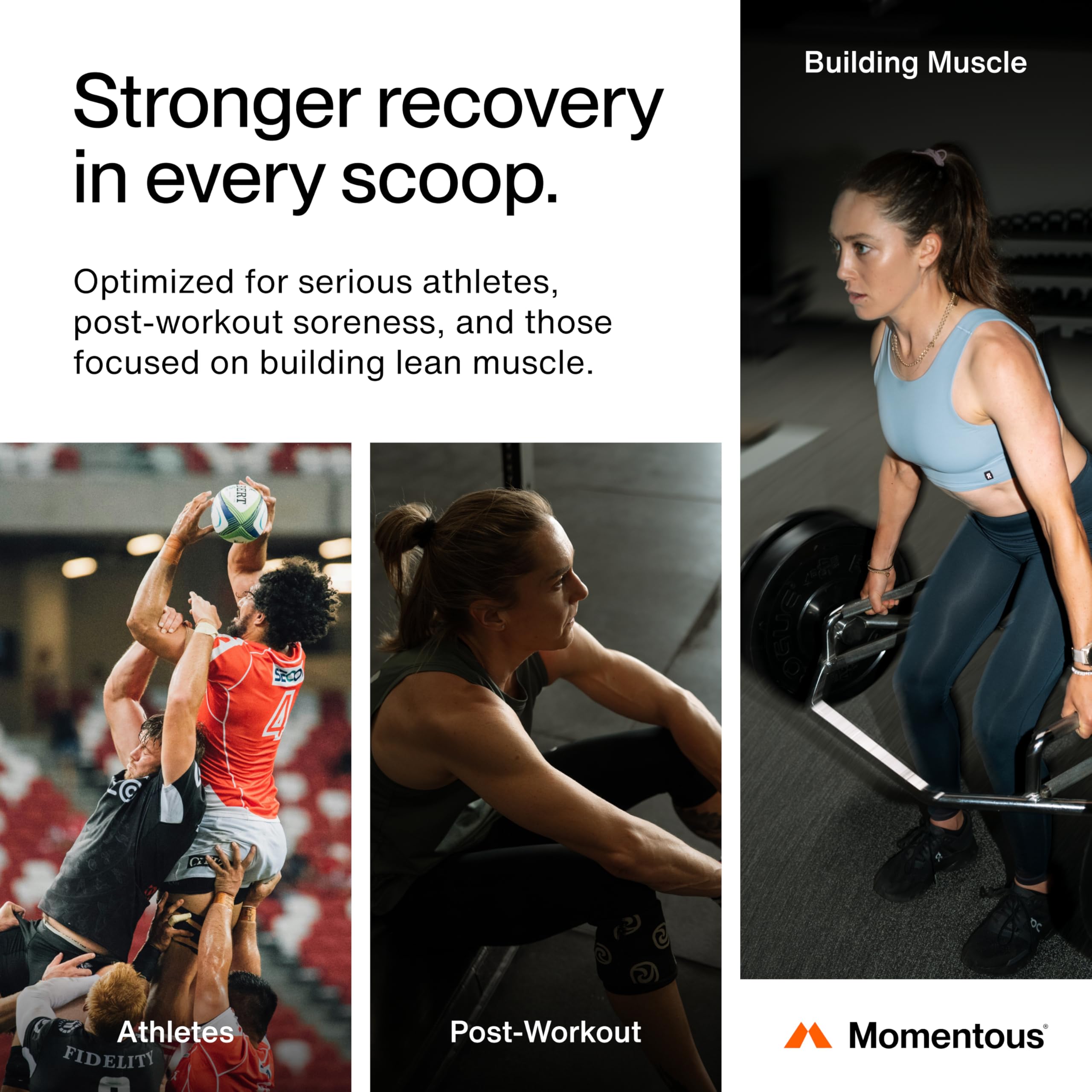 Momentous Recovery - Post-entraînement, soutien potentiel à l'énergie après l'effort