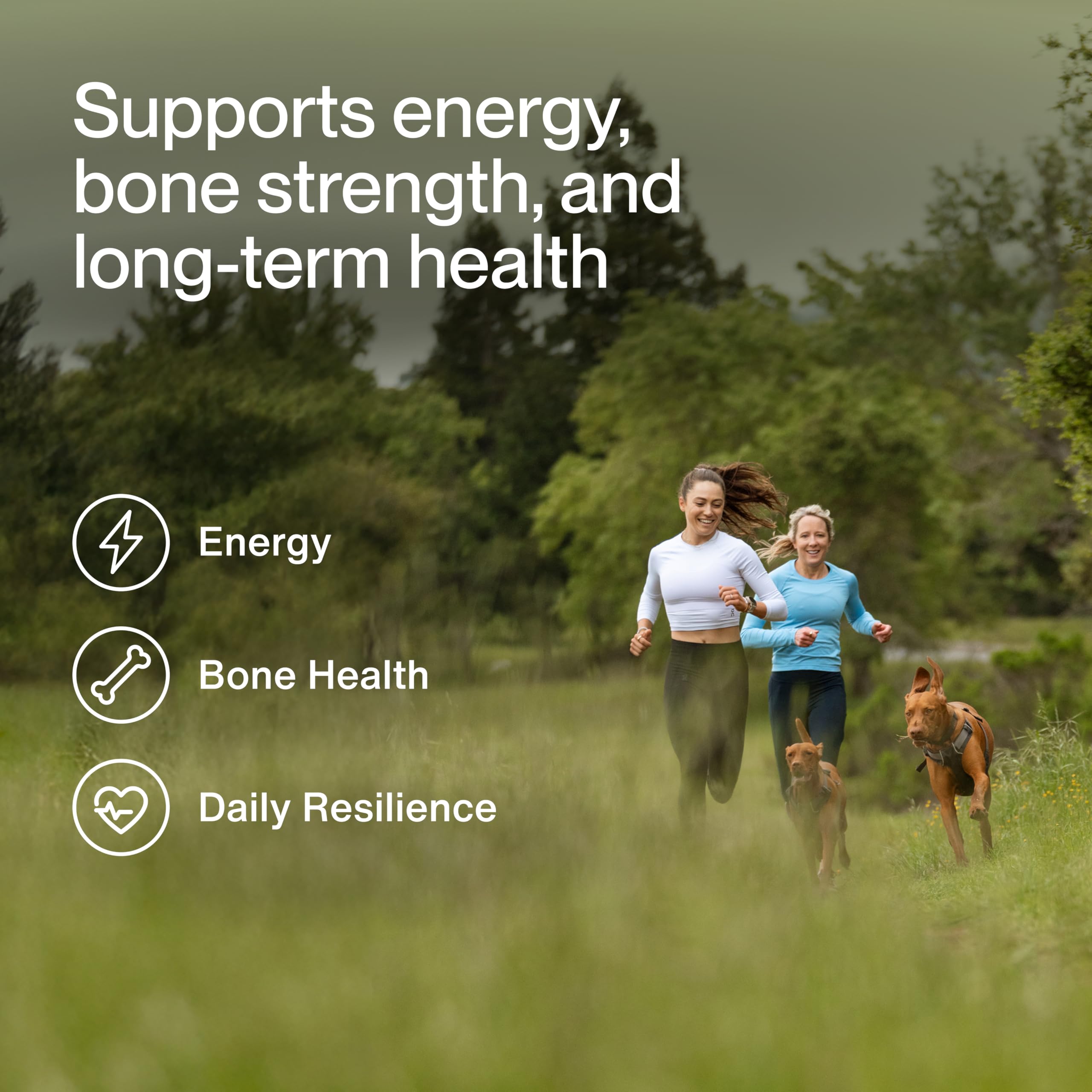 Momentous Women’s Three - Bouteille Calcium DimaCal, os solides et contraction musculaire.