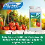 Monterey FOLI-CAL cuillère-mesure, dosage précis pour applications contrôlées.