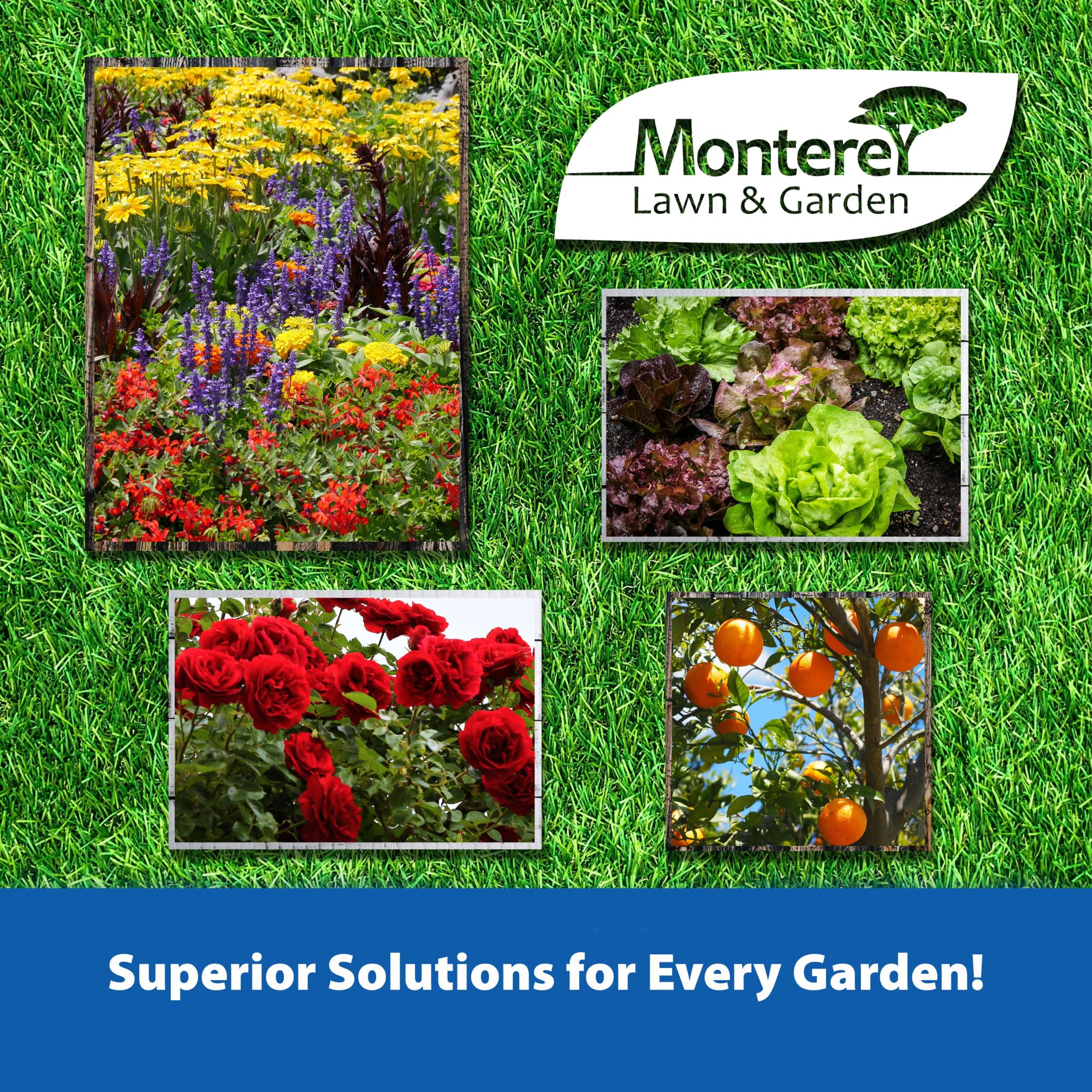 Monterey FOLI-CAL tomates et poivrons mieux soutenus par le calcium foliaire.