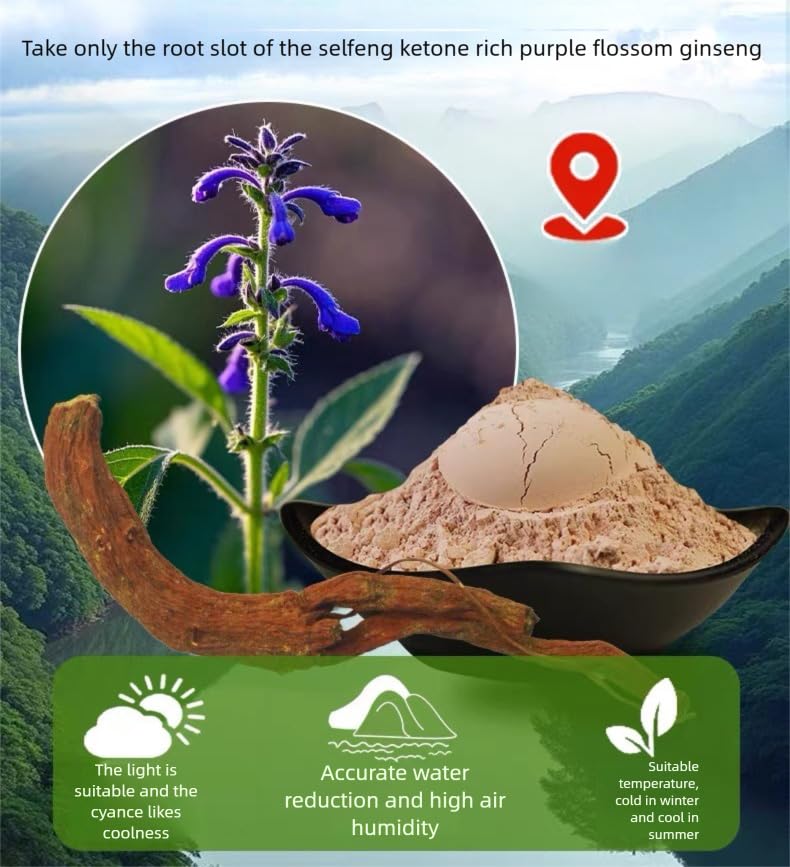 MOORCHOCO Dan Shen Poudre, facile à diluer dans l eau