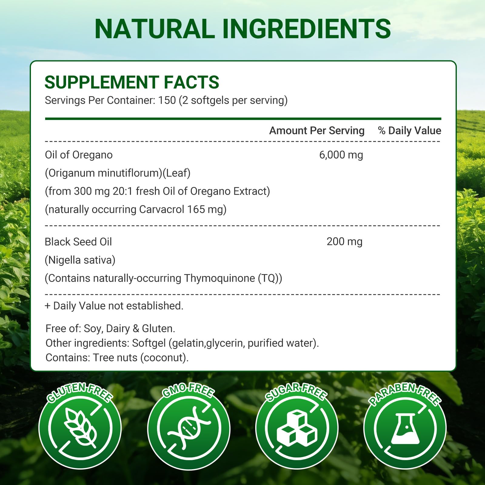 Moravax capsules d'origan faciles à avaler, absorption optimisée.