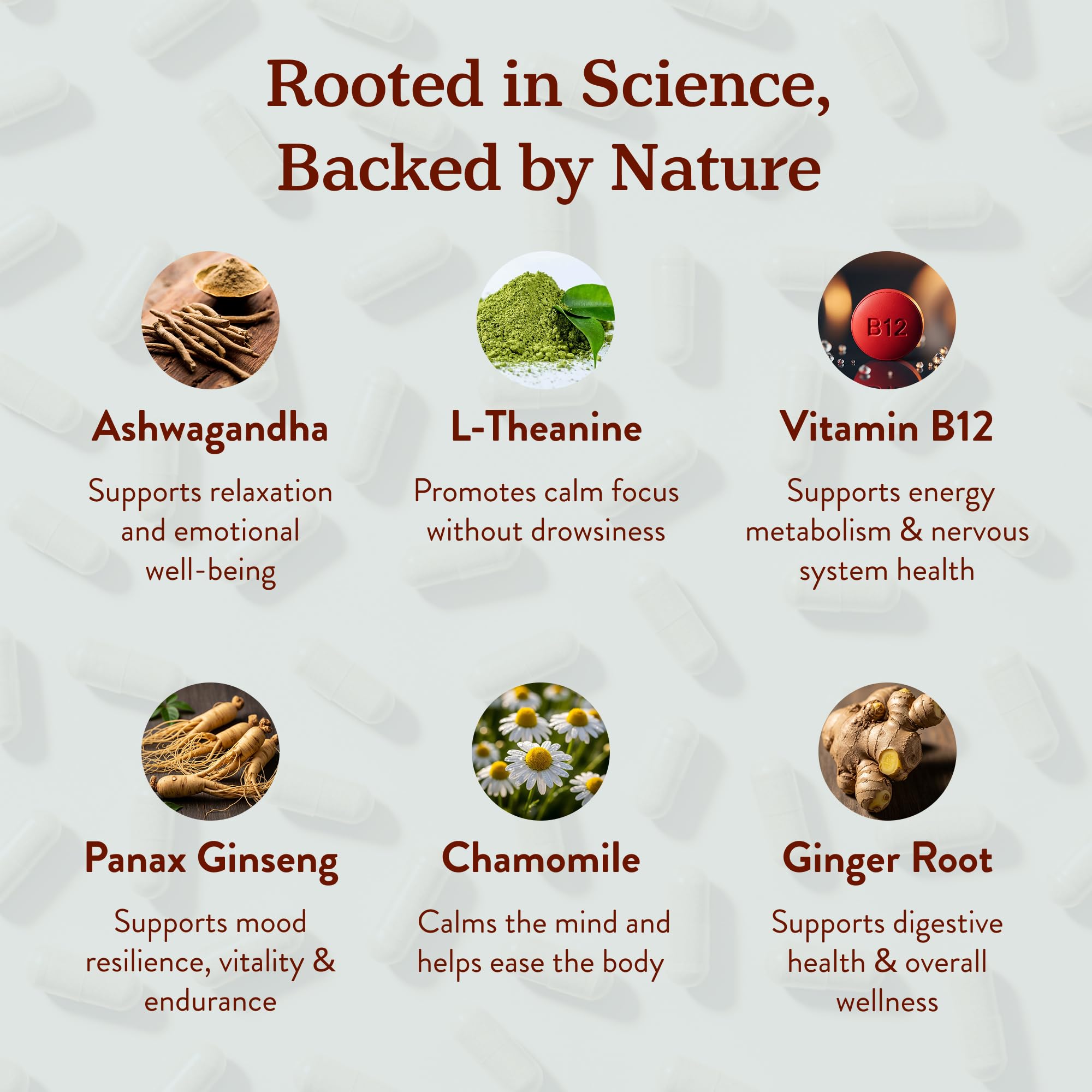 Ingrédients naturels Chill Pill More: adaptogènes et antioxydants pour le bien-être.