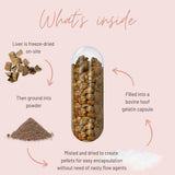 Capsules versées dans la main, usage facile avec Mother Nutrient foie de boeuf.