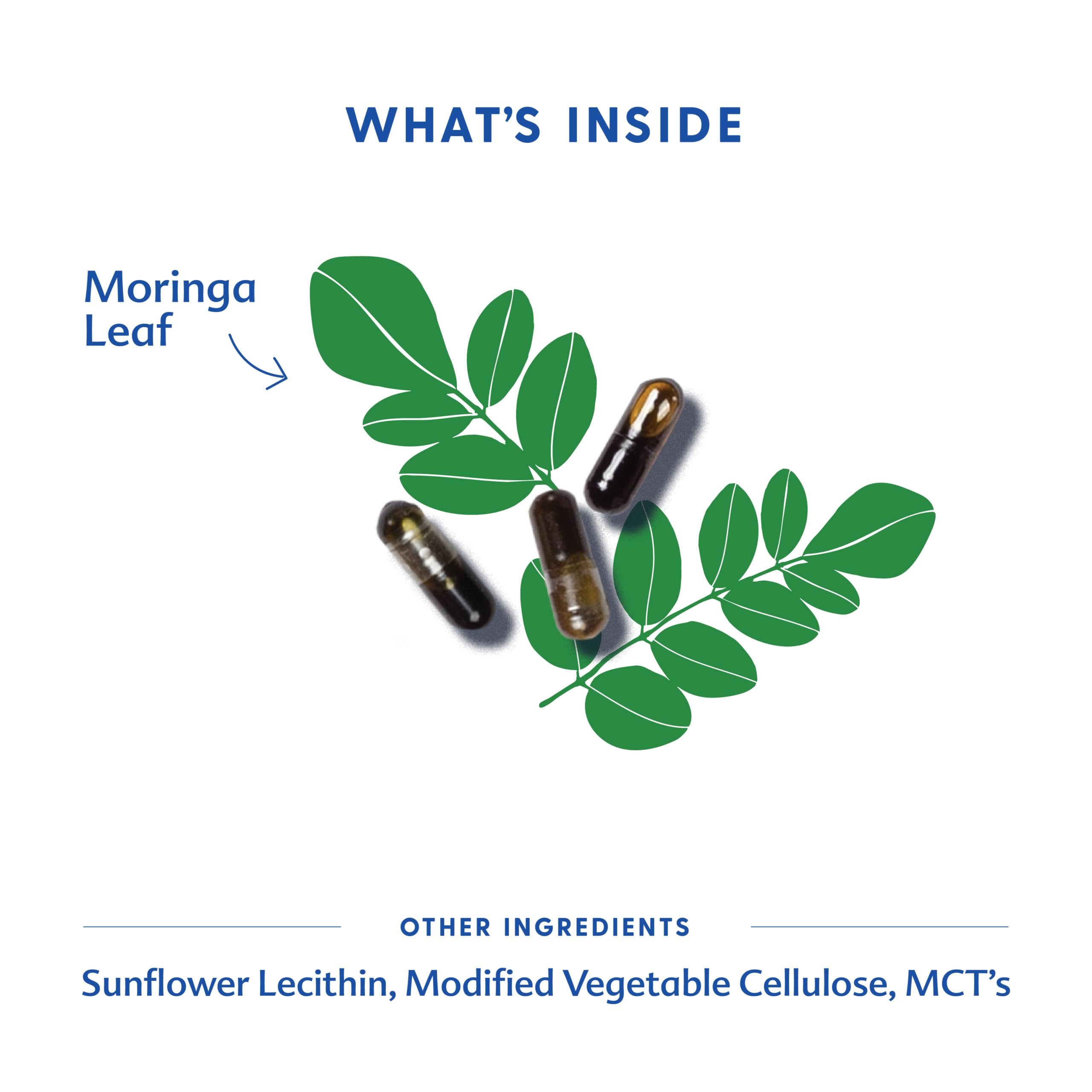 Motherlove Moringa – dose quotidienne illustrée pour un dosage pratique.