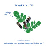 Motherlove Moringa – dose quotidienne illustrée pour un dosage pratique.