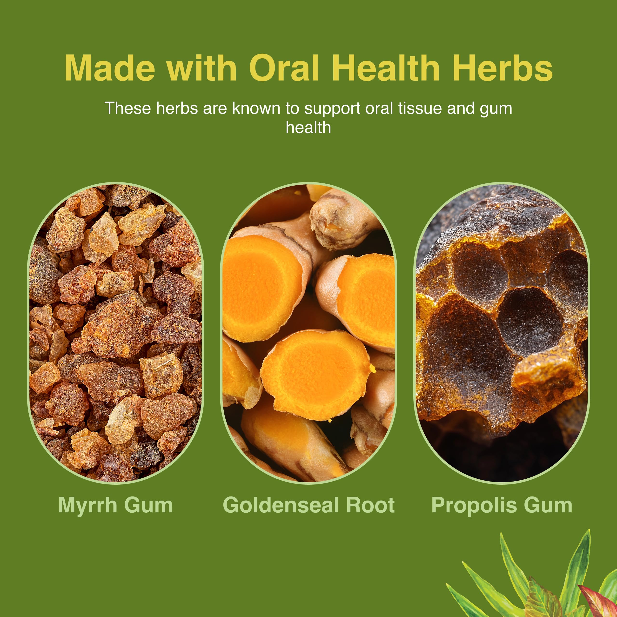 Mouth Tonic – ingrédient goldenseal, soutien possible pour les gencives