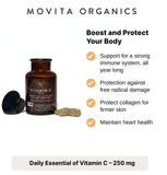 Movita aide à la synthèse du collagène grâce à la vitamine C fermentée.