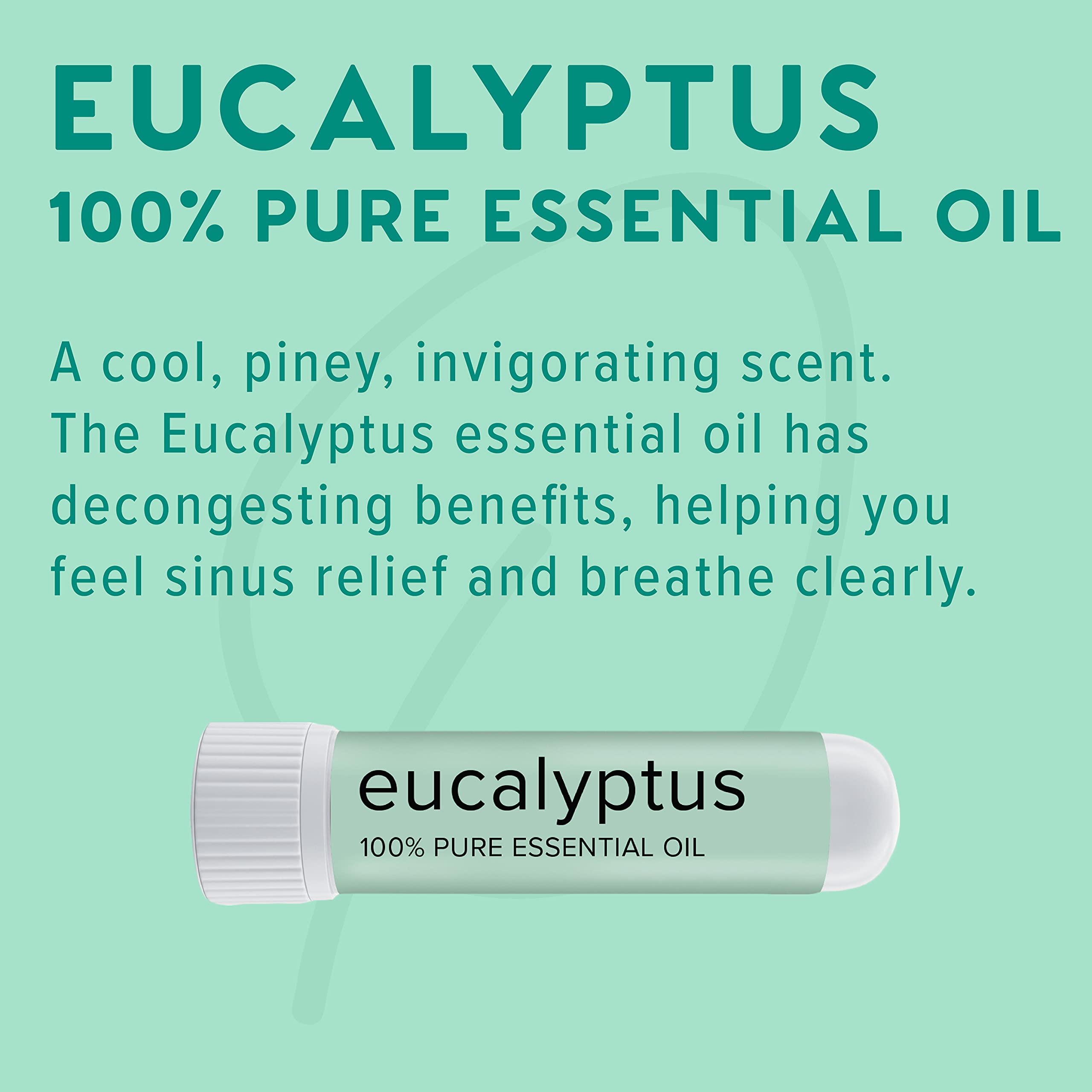 MOXĒ inhalateur eucalyptus parfum authentique – arôme boisé et doux.