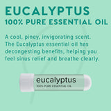 MOXĒ inhalateur eucalyptus parfum authentique – arôme boisé et doux.