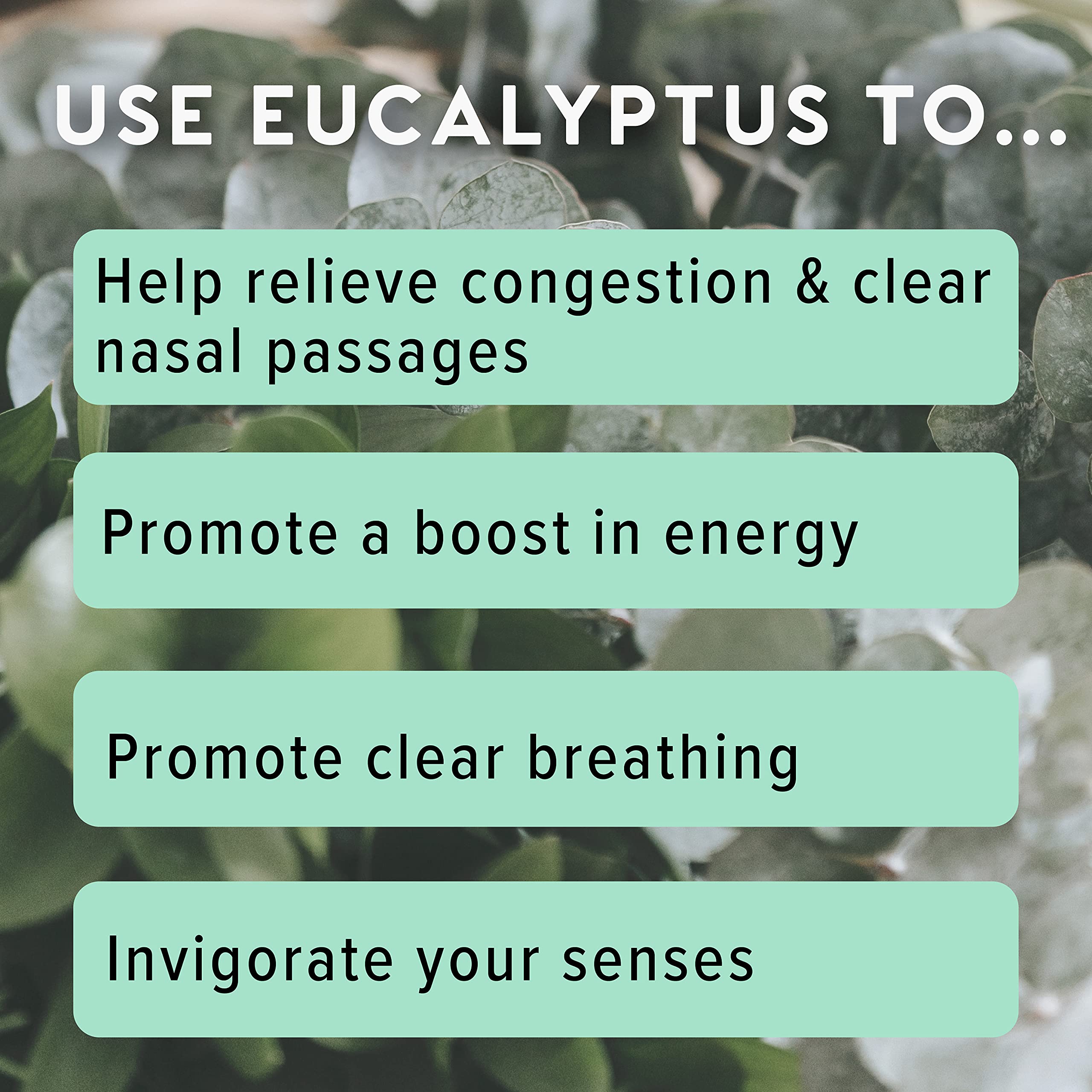 MOXĒ inhalateur eucalyptus – formulation à une seule huile essentielle.