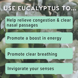 MOXĒ inhalateur eucalyptus – formulation à une seule huile essentielle.