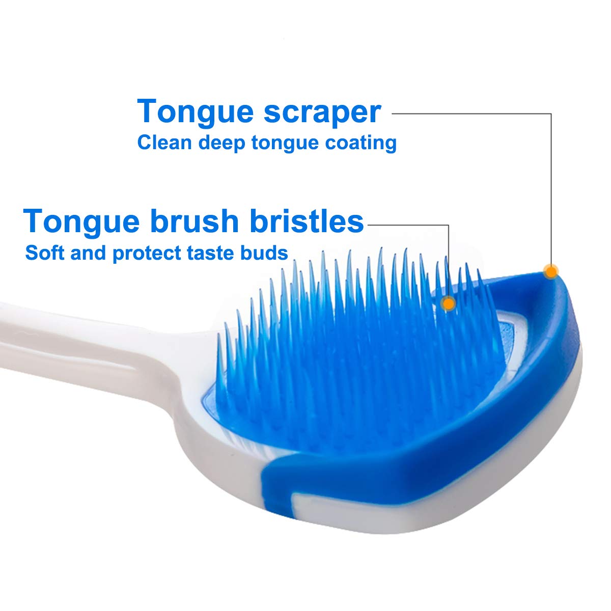 MR LION brosse-langue-brins-doux, douceur lors du brossage et du nettoyage.