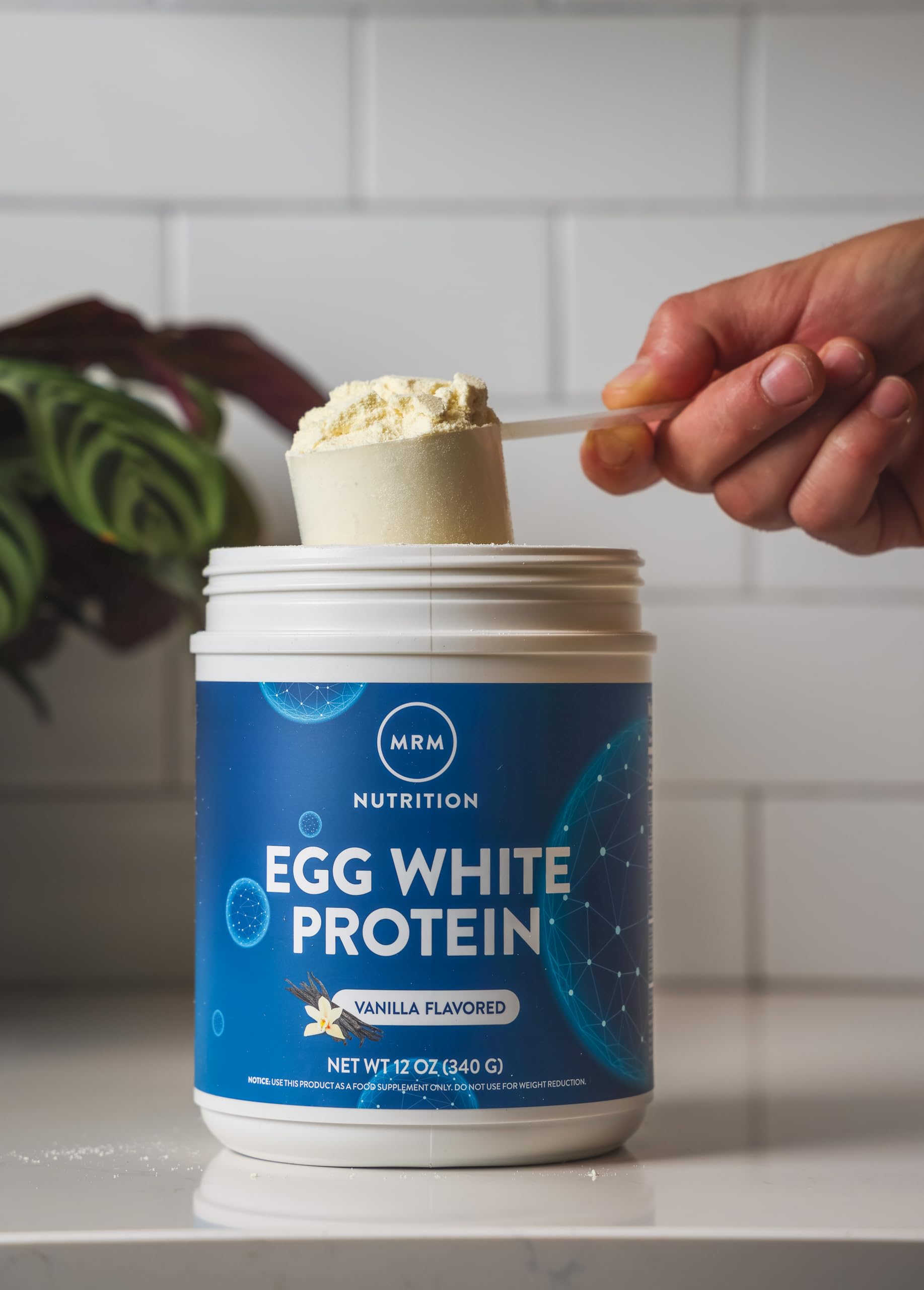 MRM Protéine Blanc d'Oeuf Vanille, digestives: enzymes pour faciliter la digestion.