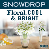 Cire de soja et huiles essentielles utilisées dans Snowdrop.