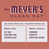 Bougie à la cire de soja MRS MEYER'S—feuilles-automne, diffusion douce pendant le travail.