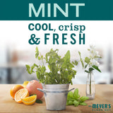 MRS MEYER'S CLEAN DAY huiles essentielles menthe, parfum vivifiant