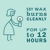 MRS MEYER'S CLEAN DAY mèche sans plomb, combustion régulière
