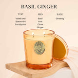 Bougie M&SENSE Basilic Gingembre Orange, ambiance salon conviviale pour soirées et discussions.