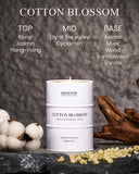 Bougie M&SENSE cire végétale naturelle: combustion homogène et propre