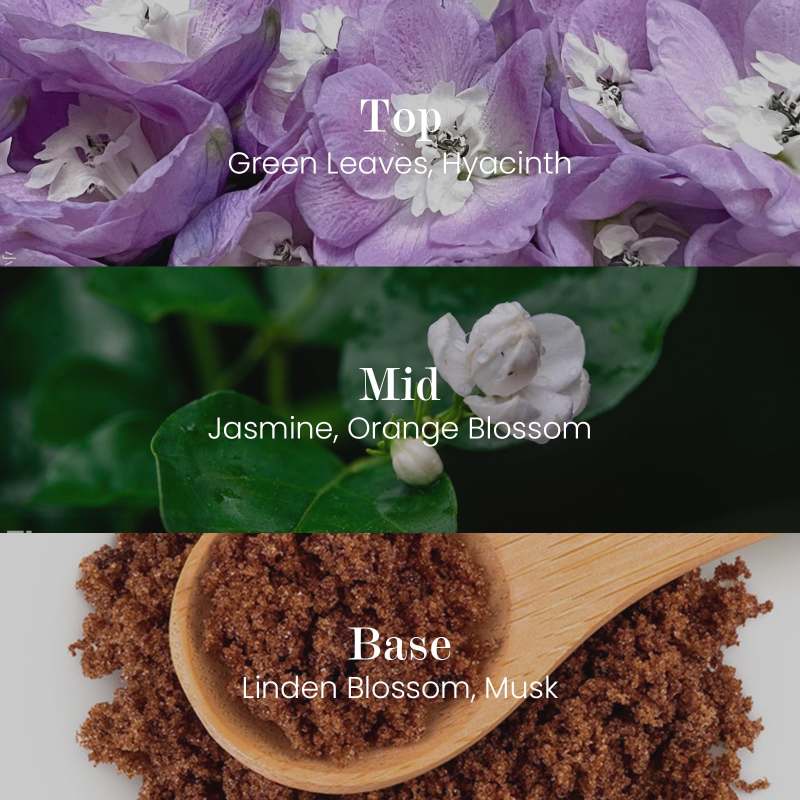 M&SENSE aromathérapie relaxante, idéale pour salon ou bureau.