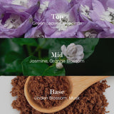 M&SENSE aromathérapie relaxante, idéale pour salon ou bureau.