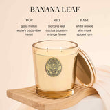 M&SENSE Bougie Soya dans son vase réutilisable au design chic.