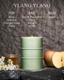 M&SENSE Ylang Ylang, cire naturelle et mèche sans plomb, brûlage propre et régulier.