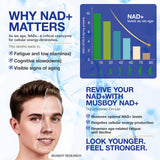 MSLOTAL NAD+ et résveratrol, complément visuel soutenant énergie cellulaire potentielle.
