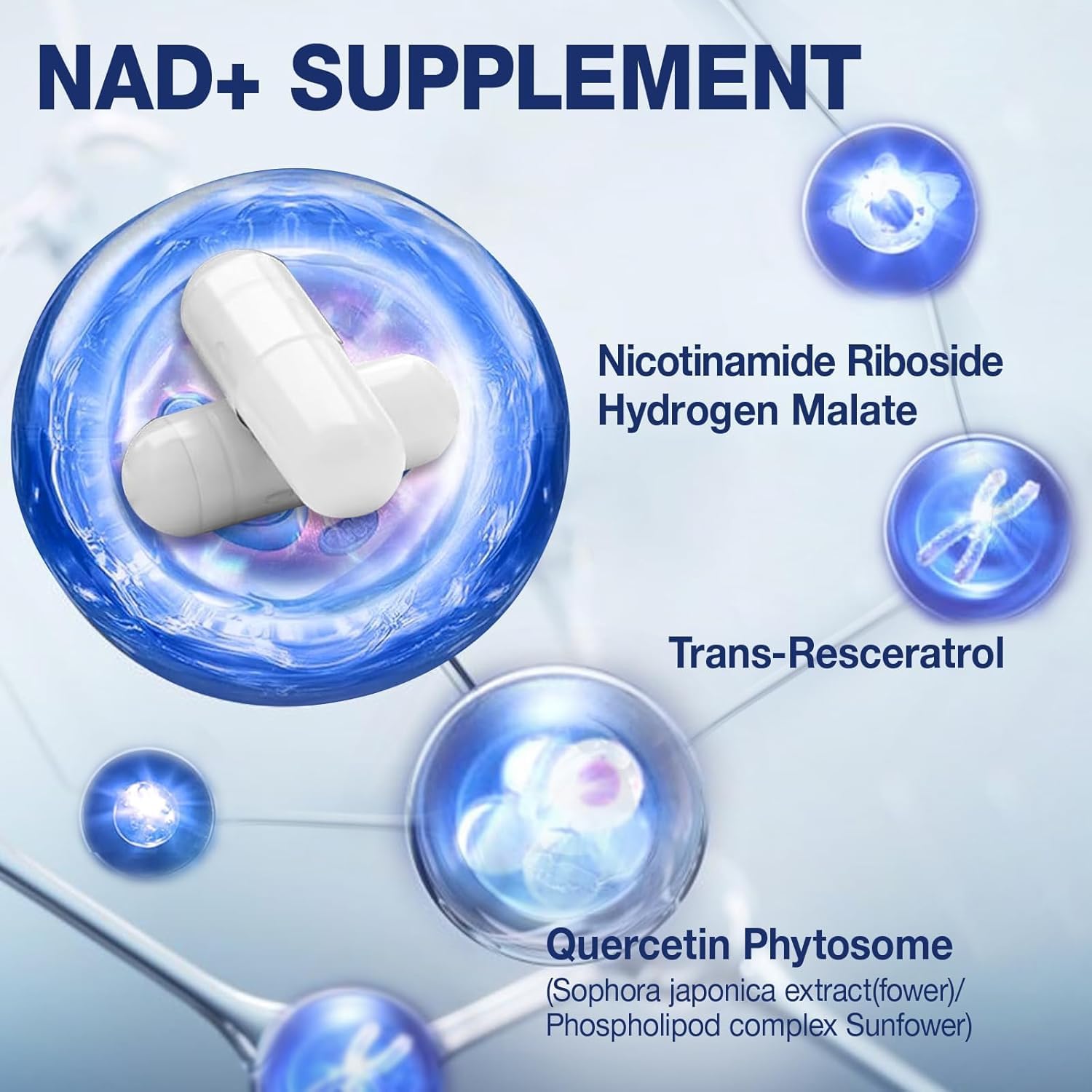 MSLOTAL NAD+ gélules 80, prise simple pour une routine quotidienne.