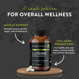 Mt. Angel L-Lysine 500 mg, étiquette – sans OGM et sans gluten