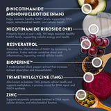 Zinc et BioPerine inclus dans Mt. Angel NMN NR, absorption potentielle améliorée.