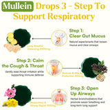 Gouttes Muechaya Molène avec chlorophylle et thym, arôme frais et souffle plus fluide.