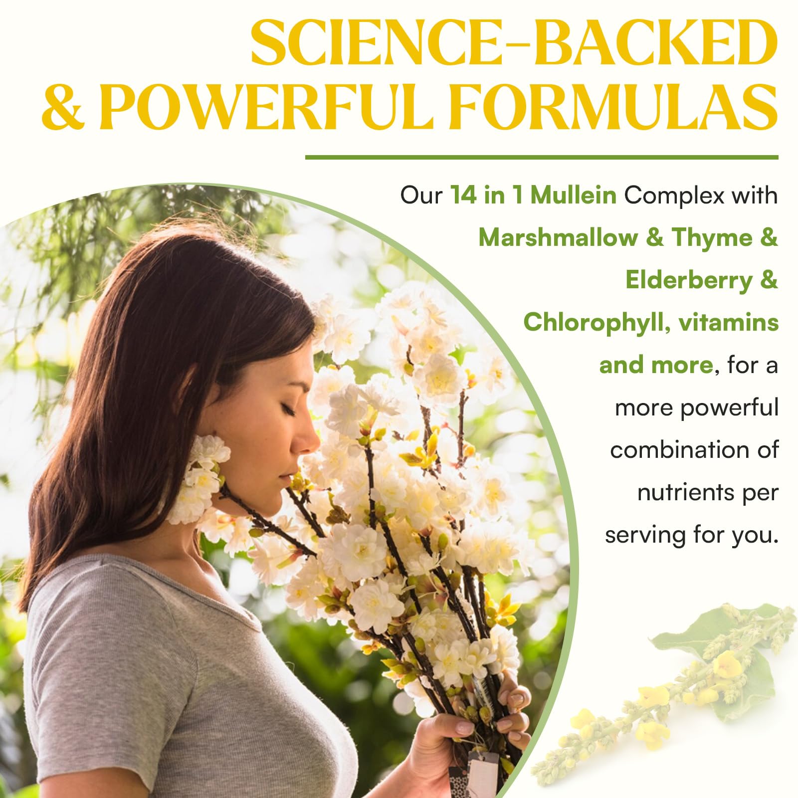 Gouttes Muechaya Molène immunité et digestion, nutriments naturels.