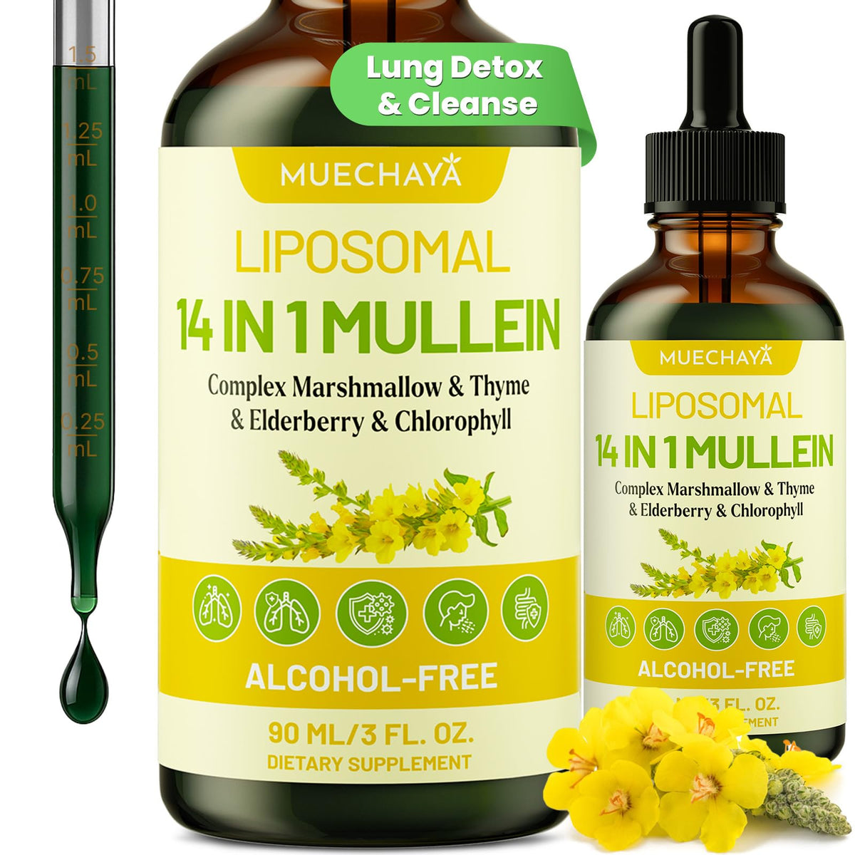 Gouttes Muechaya Molène pour les poumons, flacon pratique et dosage précis.