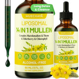 Gouttes Muechaya Molène pour les poumons, flacon pratique et dosage précis.