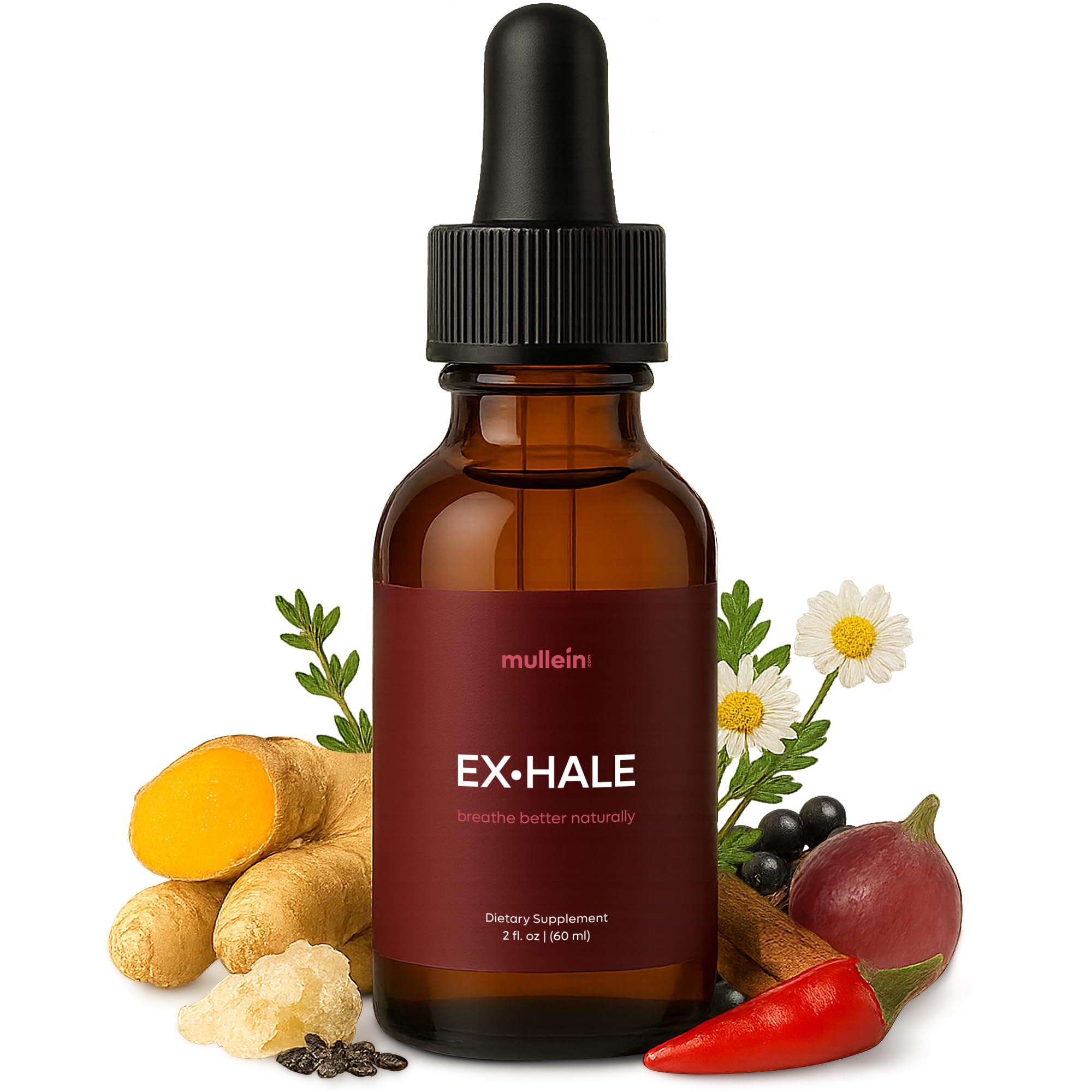 Gouttes Mullein Exhale: bouteille 2oz prête à l’emploi pour une respiration plus fluide.