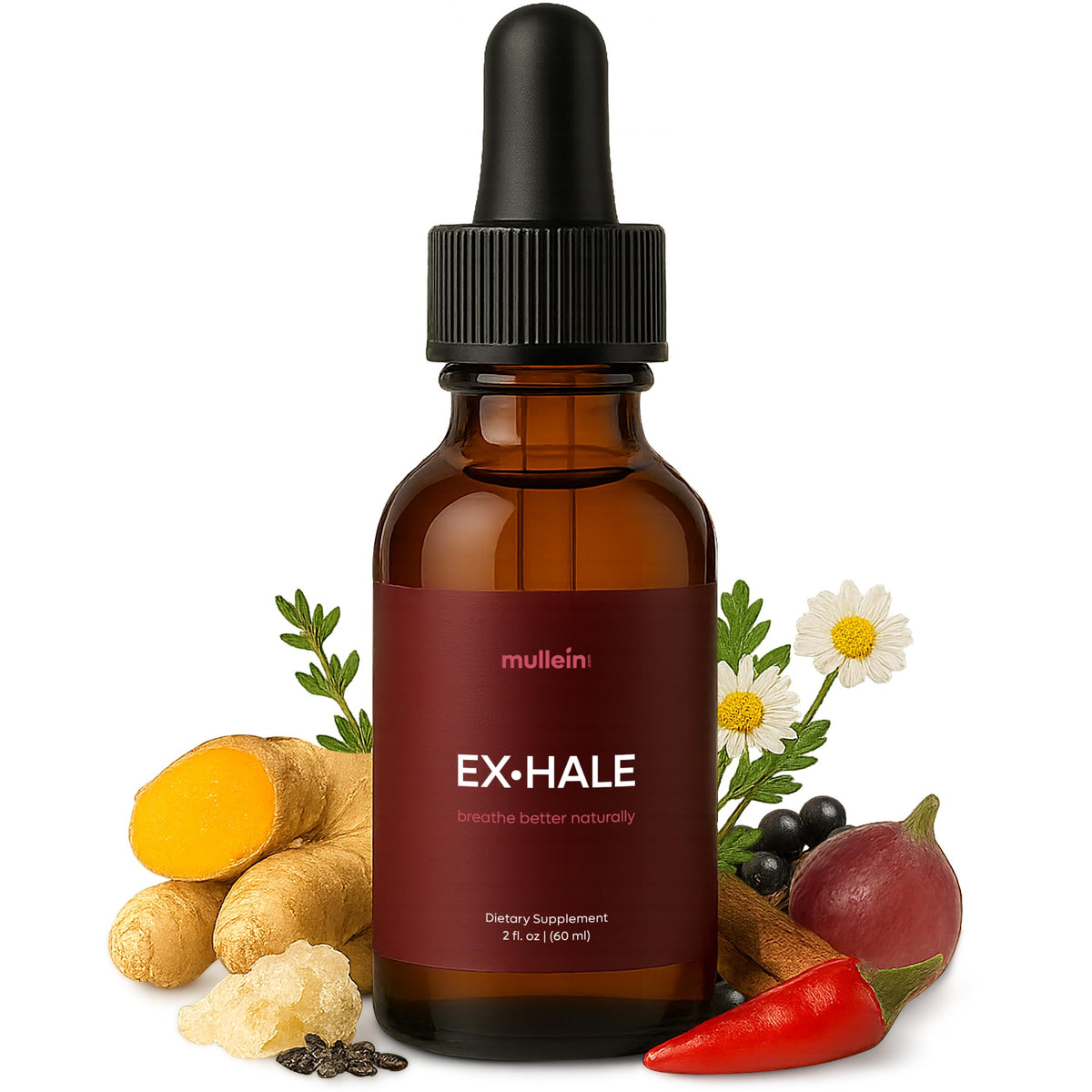 Gouttes Mullein Exhale: bouteille 2oz prête à l’emploi pour une respiration plus fluide.