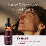Étiquette Mullein Exhale Drops: ingrédients curcuma, gingembre et cannelle pour le confort respiratoire.