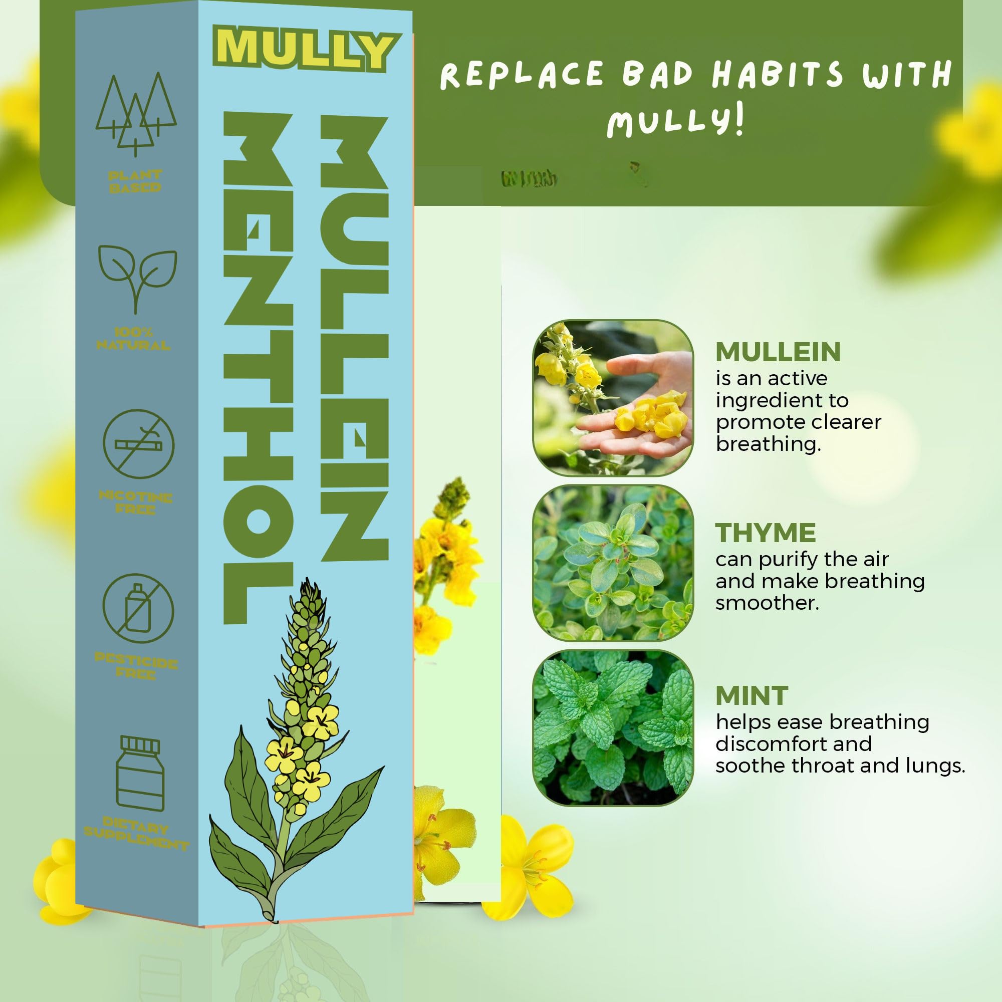Mully avec molène-thym-menthe pour une respiration plus fraîche.