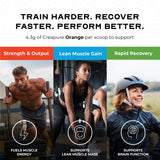 Muscle Feast Creapure – démonstration d’endurance et de masse pendant l’entraînement.