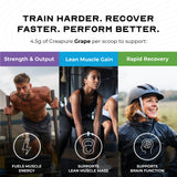 Muscle Feast Creapure Dose Cuillère: dose pratique avant chaque séance
