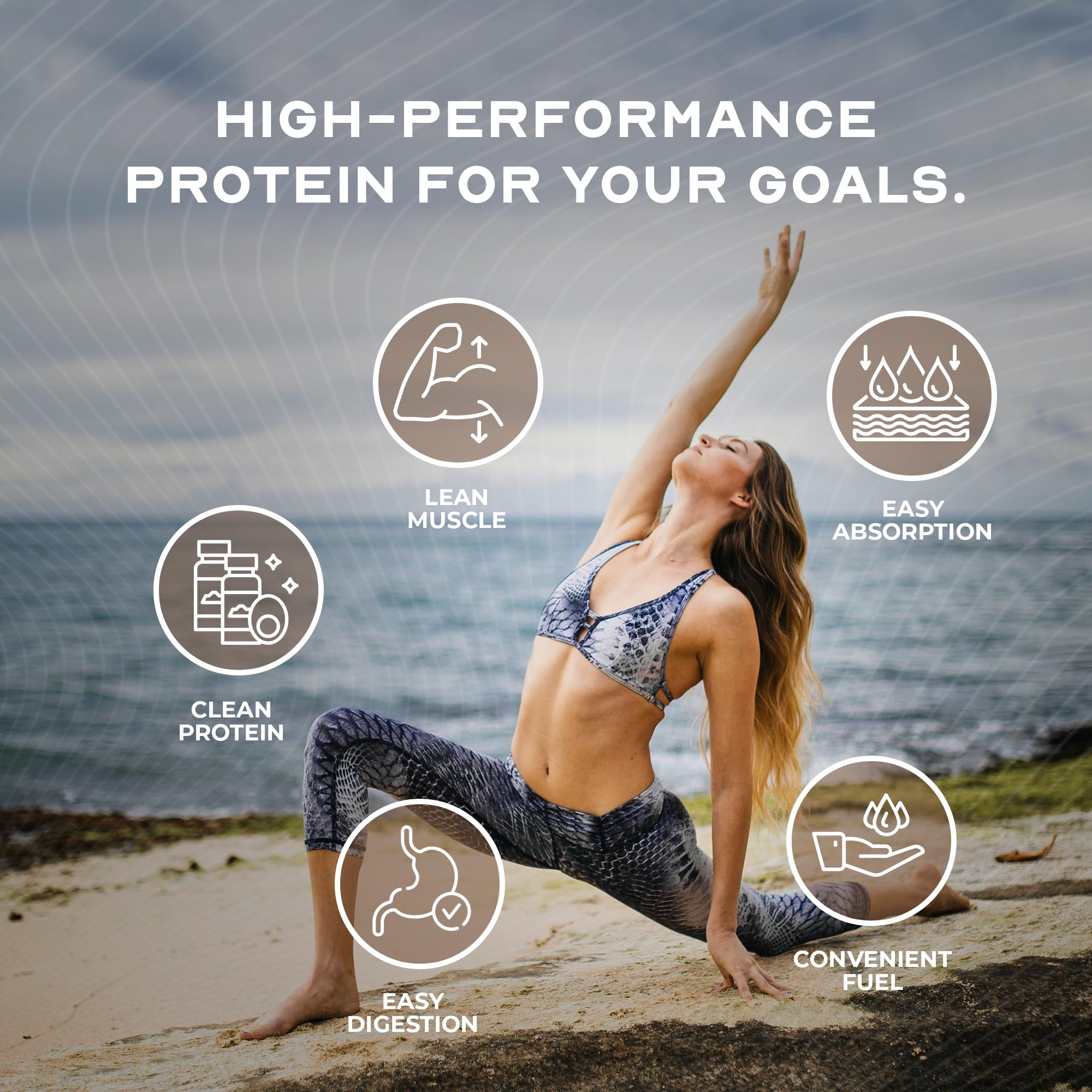 Muscle Feast Whey Isolate, emballage au design renouvelé, qualité constante et design moderne.