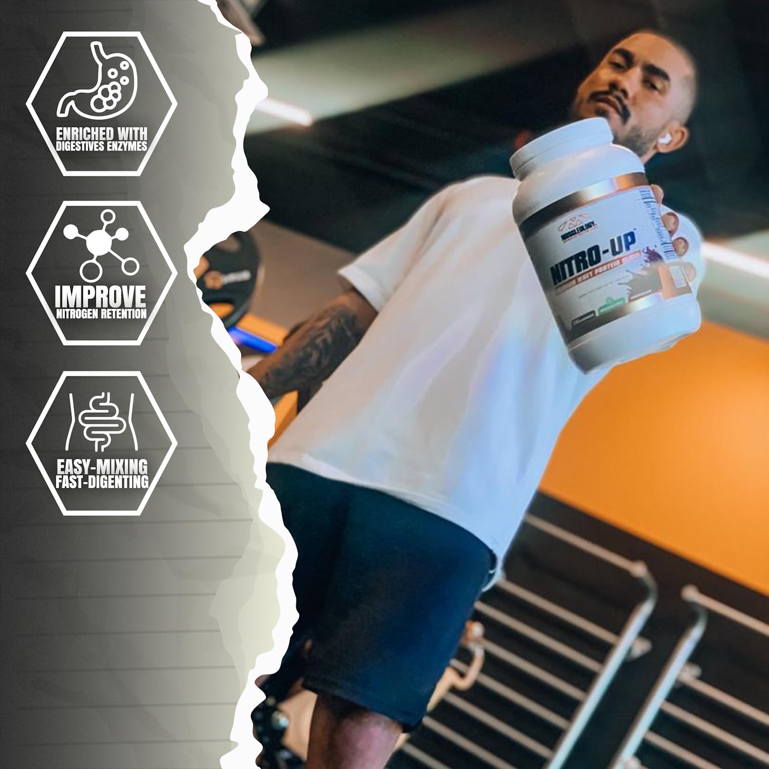 Muscleology Nitro-Up, poudre biscuits et crème, saveur gourmande et récupération potentielle