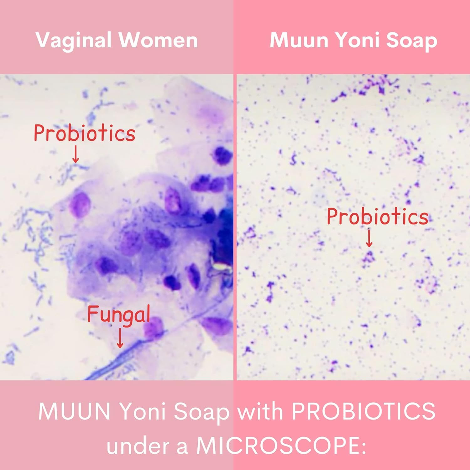 Muun Formule douce sans parabènes, sans sulfates et sans alcool.