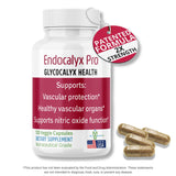 MYBODYRX Endocalyx Pro: gélules visibles, potentiel soutien à la microcirculation.